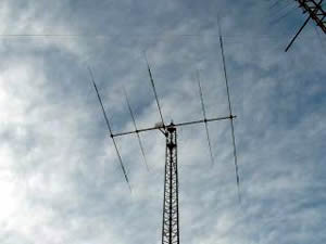 TH5-DXX at 50 feet